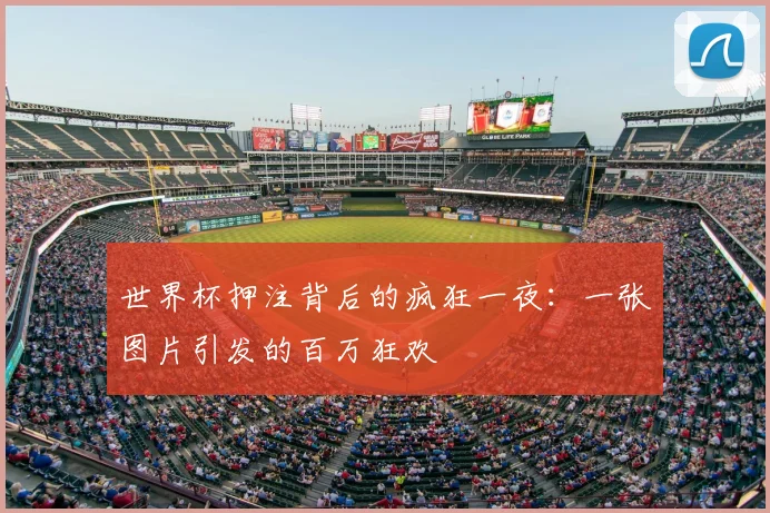 世界杯押注背后的疯狂一夜：一张图片引发的百万狂欢