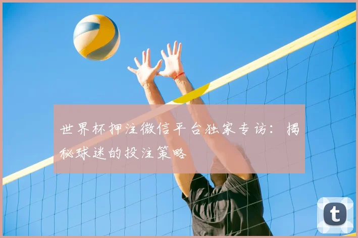 世界杯押注微信平台独家专访：揭秘球迷的投注策略