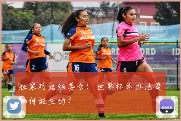 独家对话组委会：世界杯举办地是如何诞生的？
