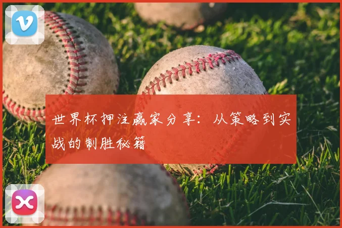 世界杯押注赢家分享：从策略到实战的制胜秘籍