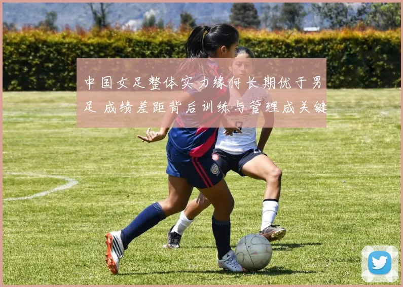 中国女足整体实力缘何长期优于男足 成绩差距背后训练与管理成关键