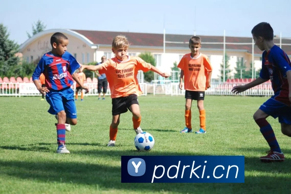 mksports在线登录入口平台生态图