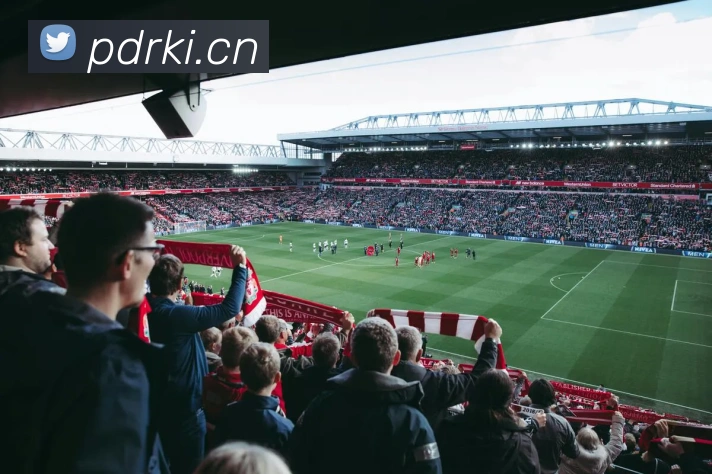 九游体育在线登录入口平台生态图