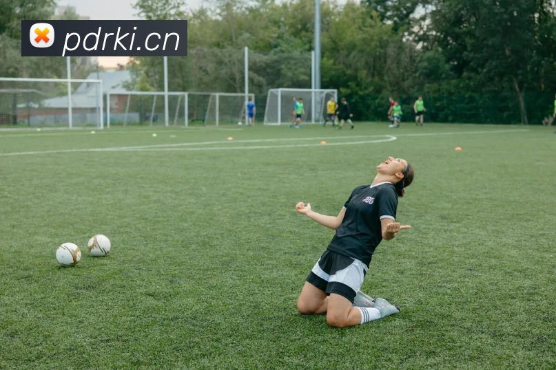 九游体育在线登录入口APP 封面图